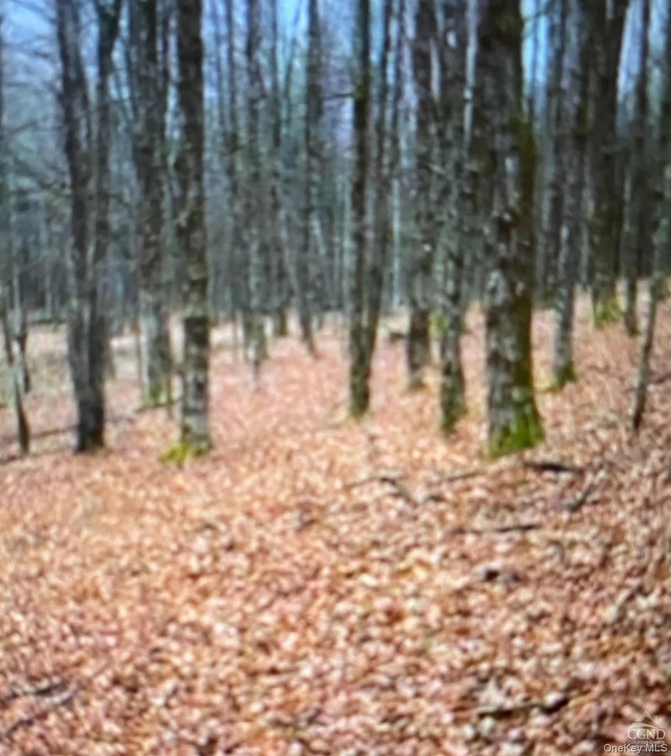 0 County Route 312 Road Property Photo 4