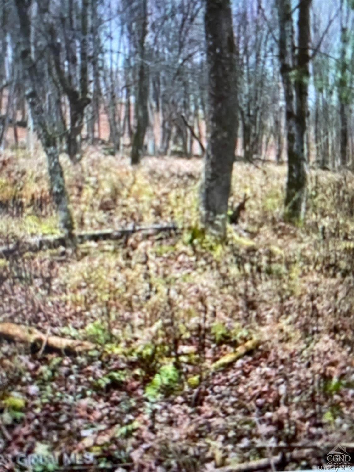 0 County Route 312 Road Property Photo 5