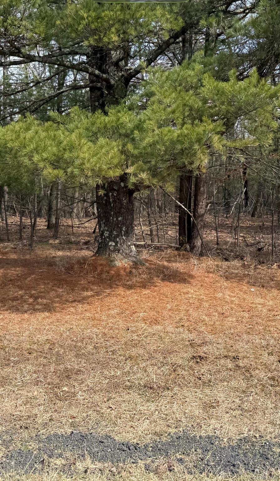0 County Route 312 Road Property Photo 6