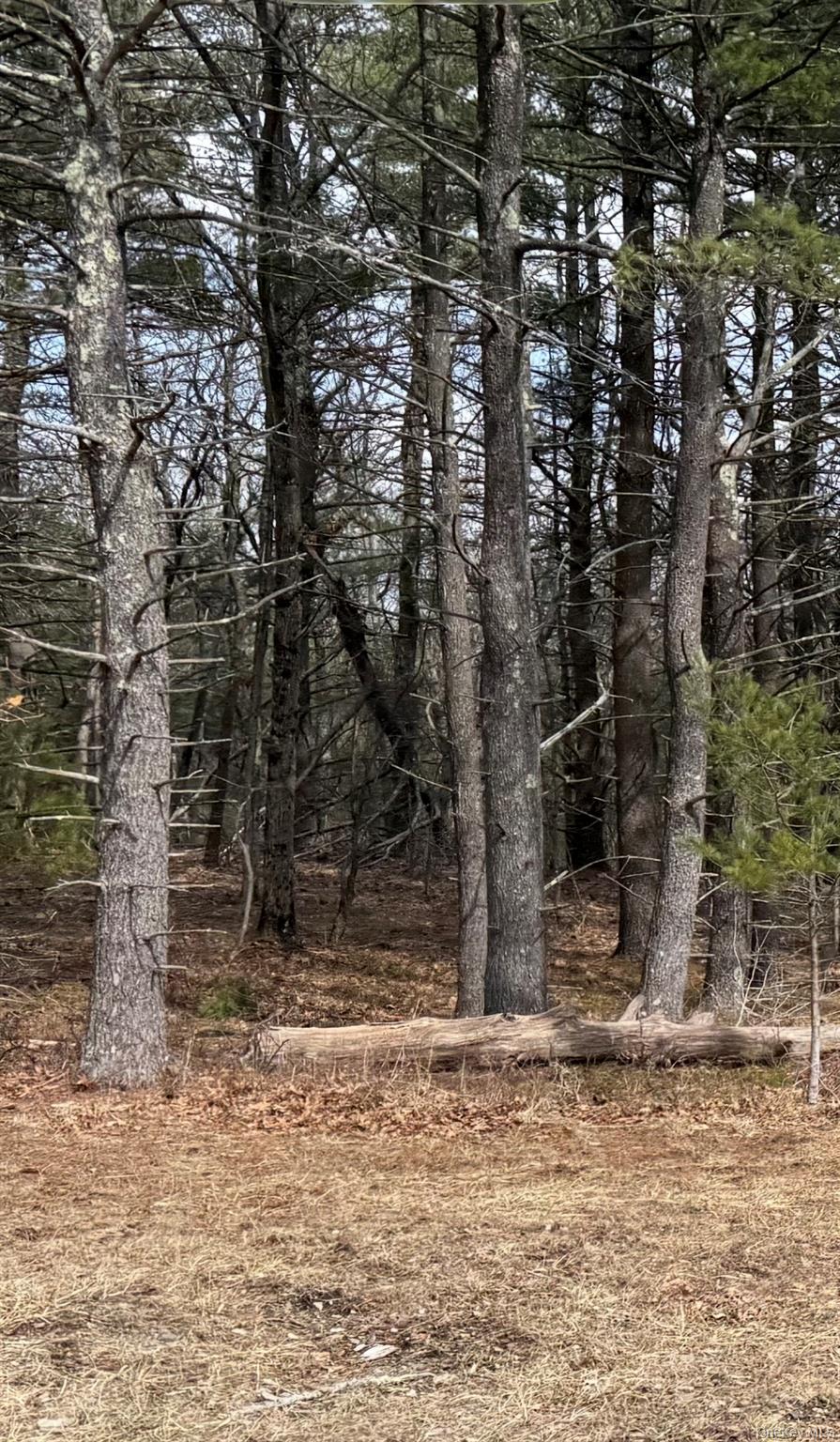 0 County Route 312 Road Property Photo 7