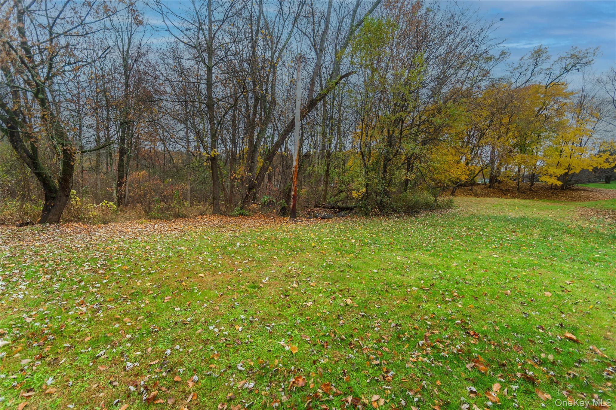 426 Violet Avenue Property Photo 7
