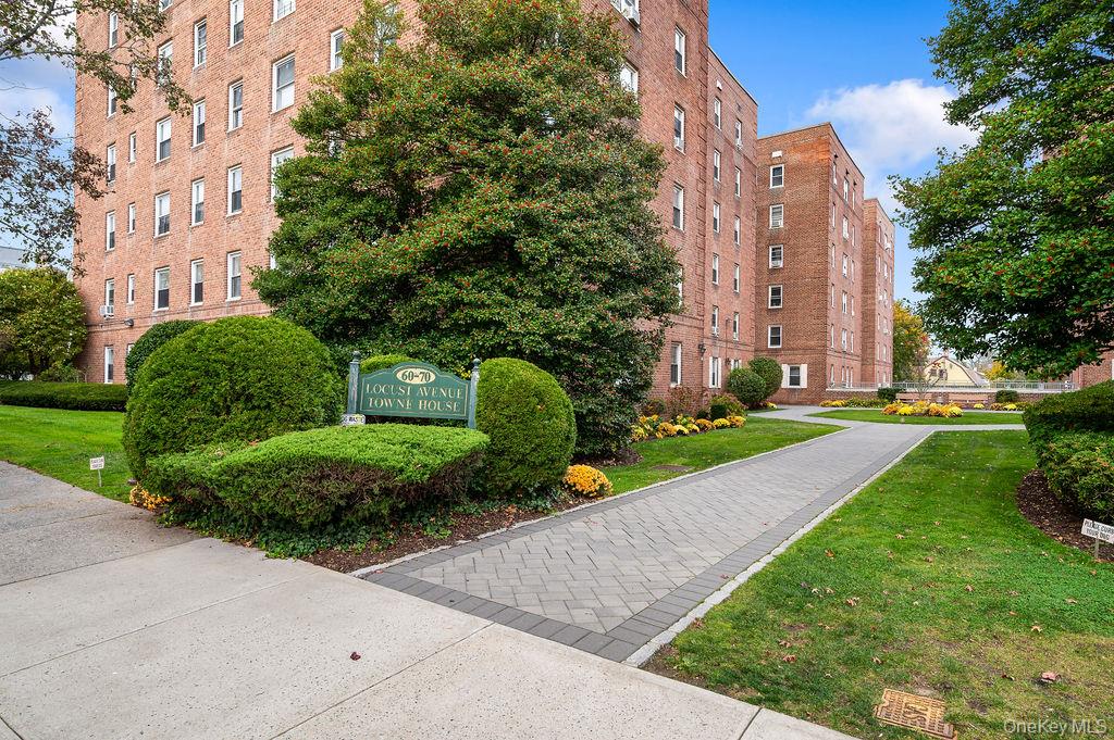 70 Locust Avenue B101 Property Photo 1