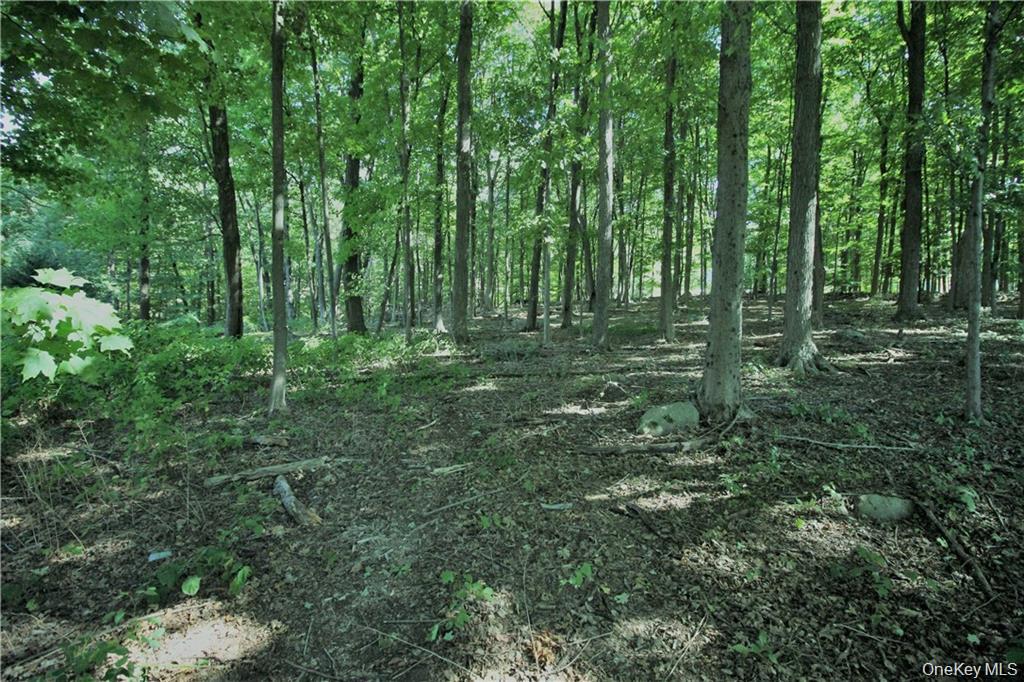 58-62 Walmer Lane Property Photo 1