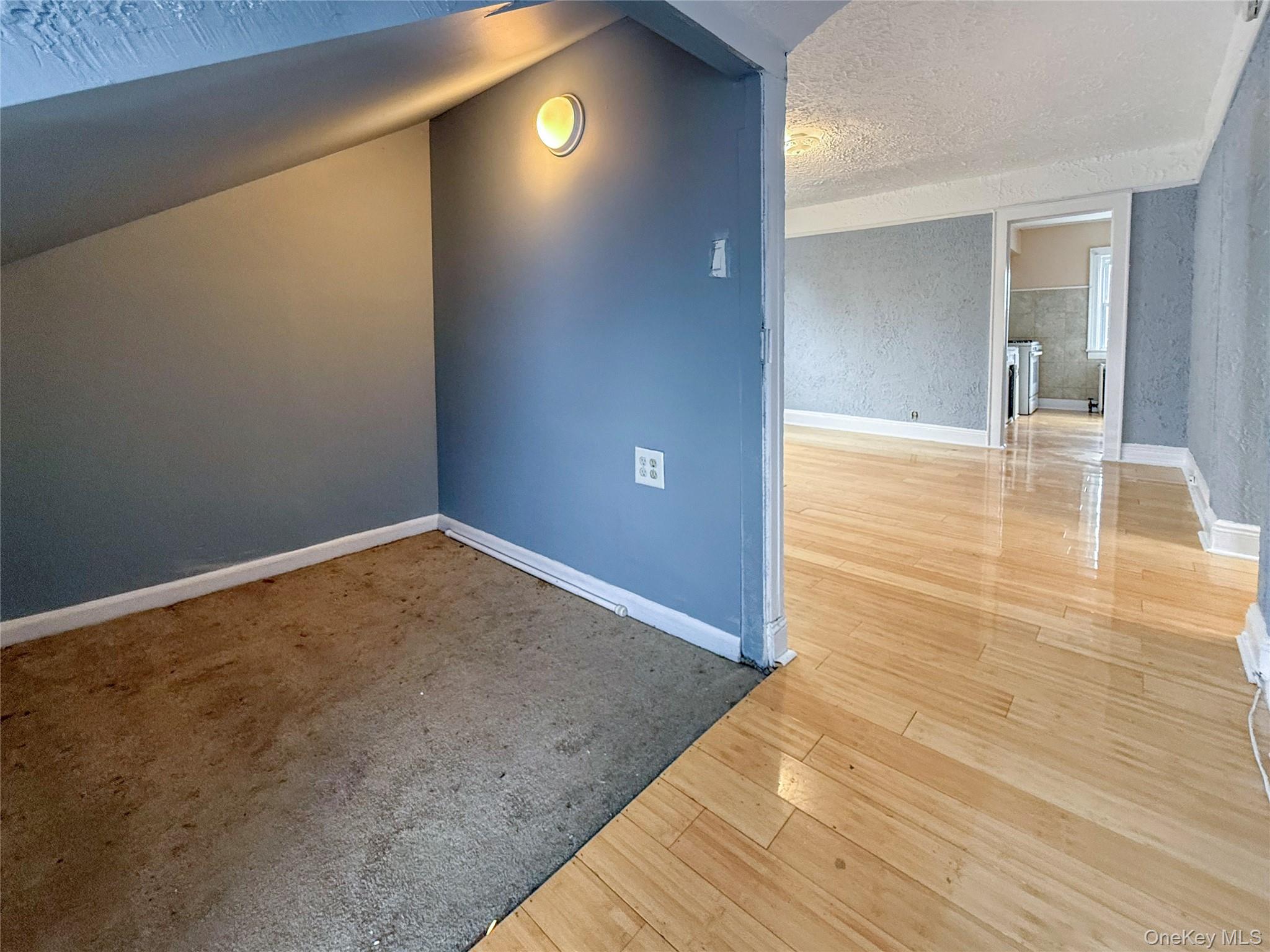 163 Shaw Avenue Property Photo 19