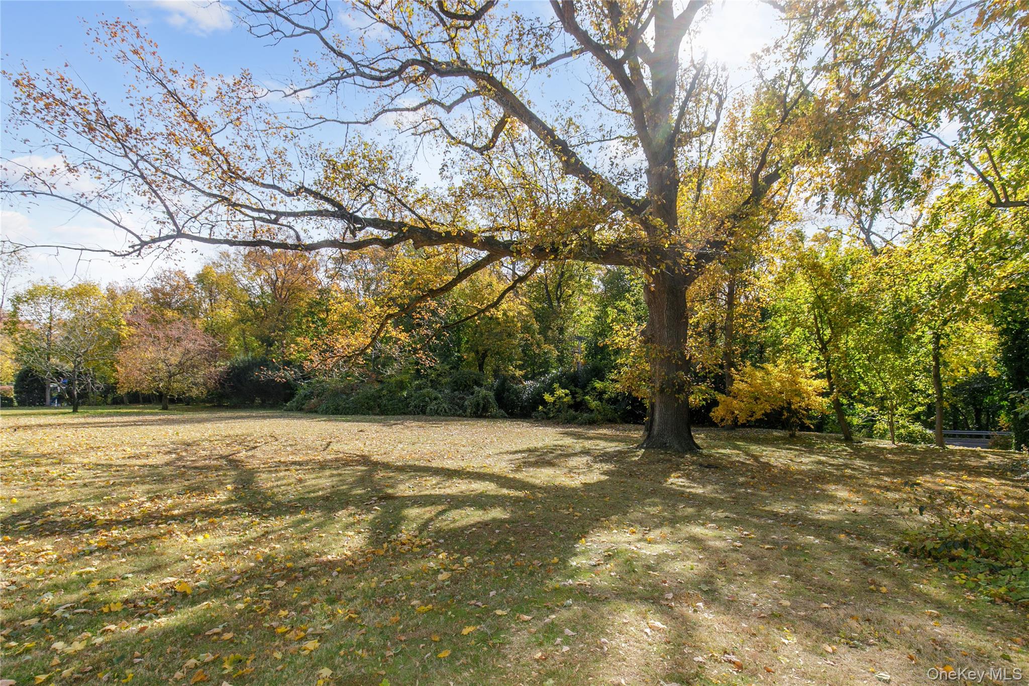 18 Lighthouse Road Property Photo 28