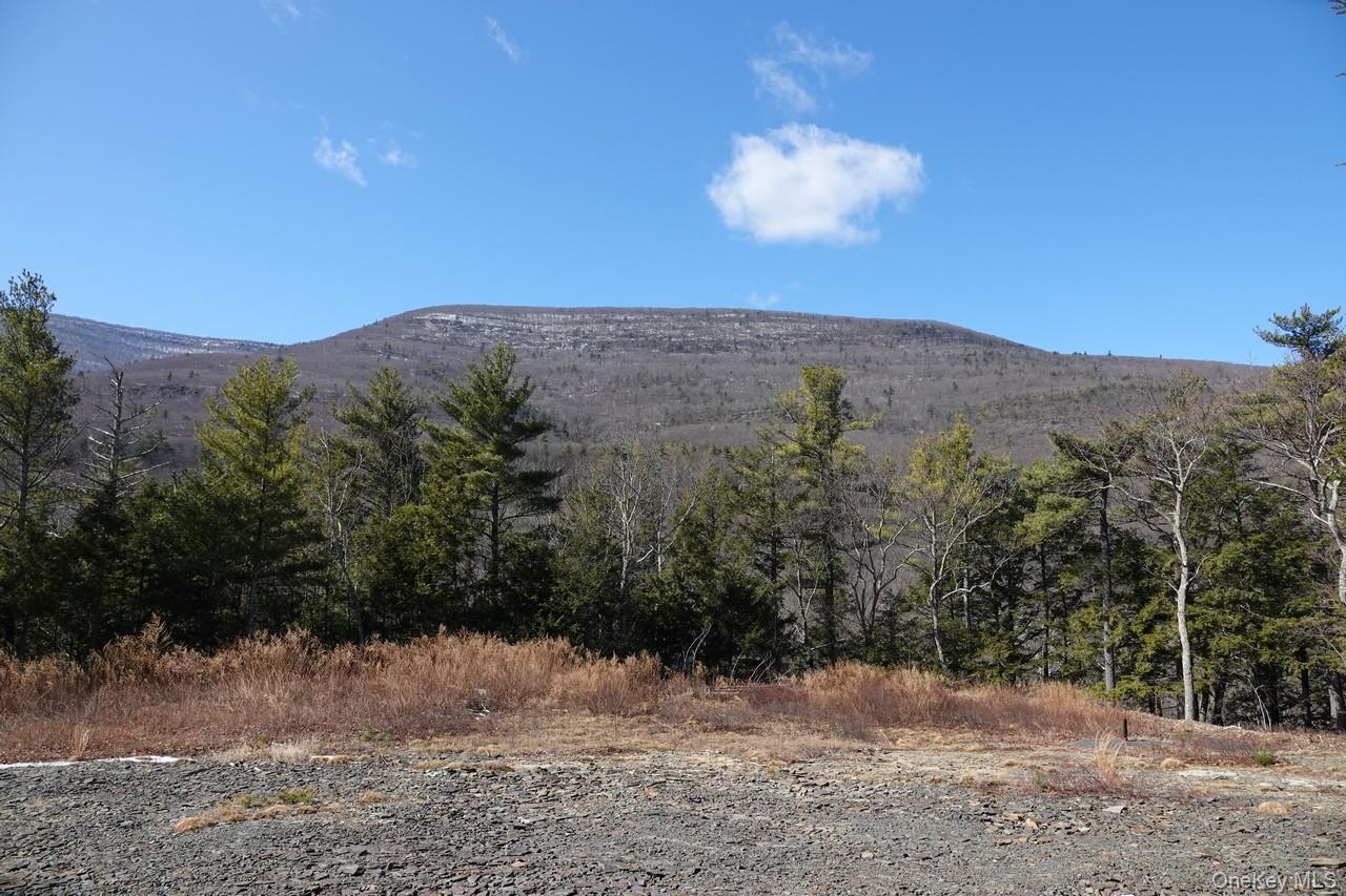 Tbd Manorville Road Property Photo 1