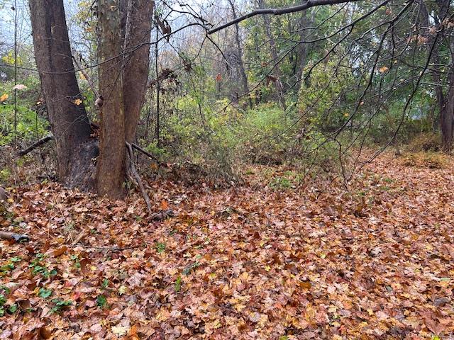 252 Milltown Property Photo 2