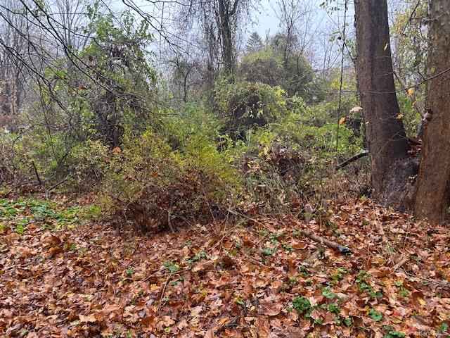 252 Milltown Property Photo 3