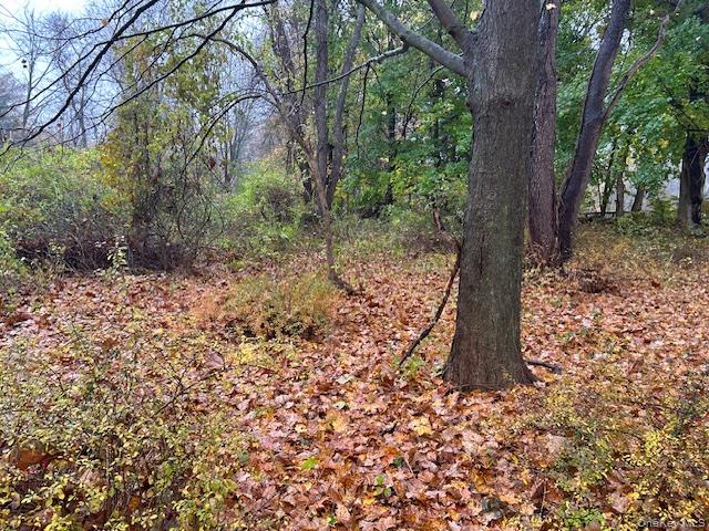 252 Milltown Property Photo 4