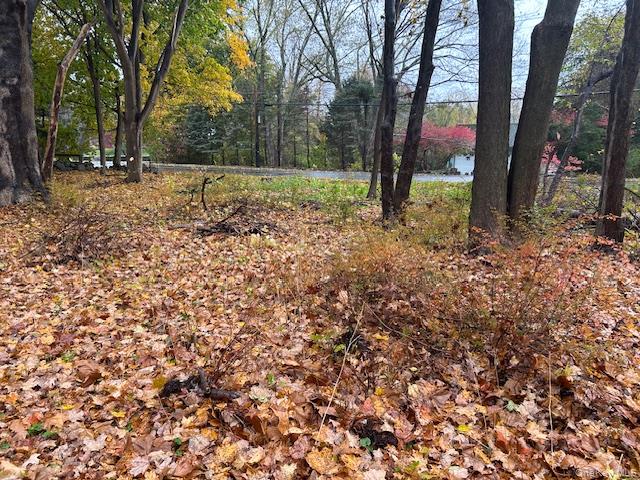 252 Milltown Property Photo 5
