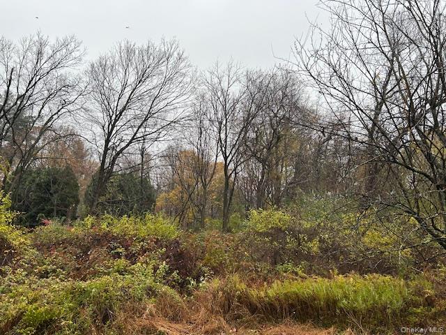 252 Milltown Property Photo 6