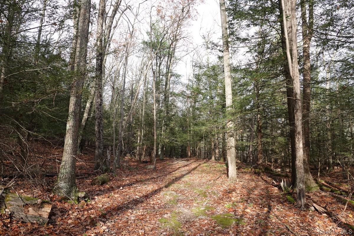 738 Manorville Road Property Photo 1