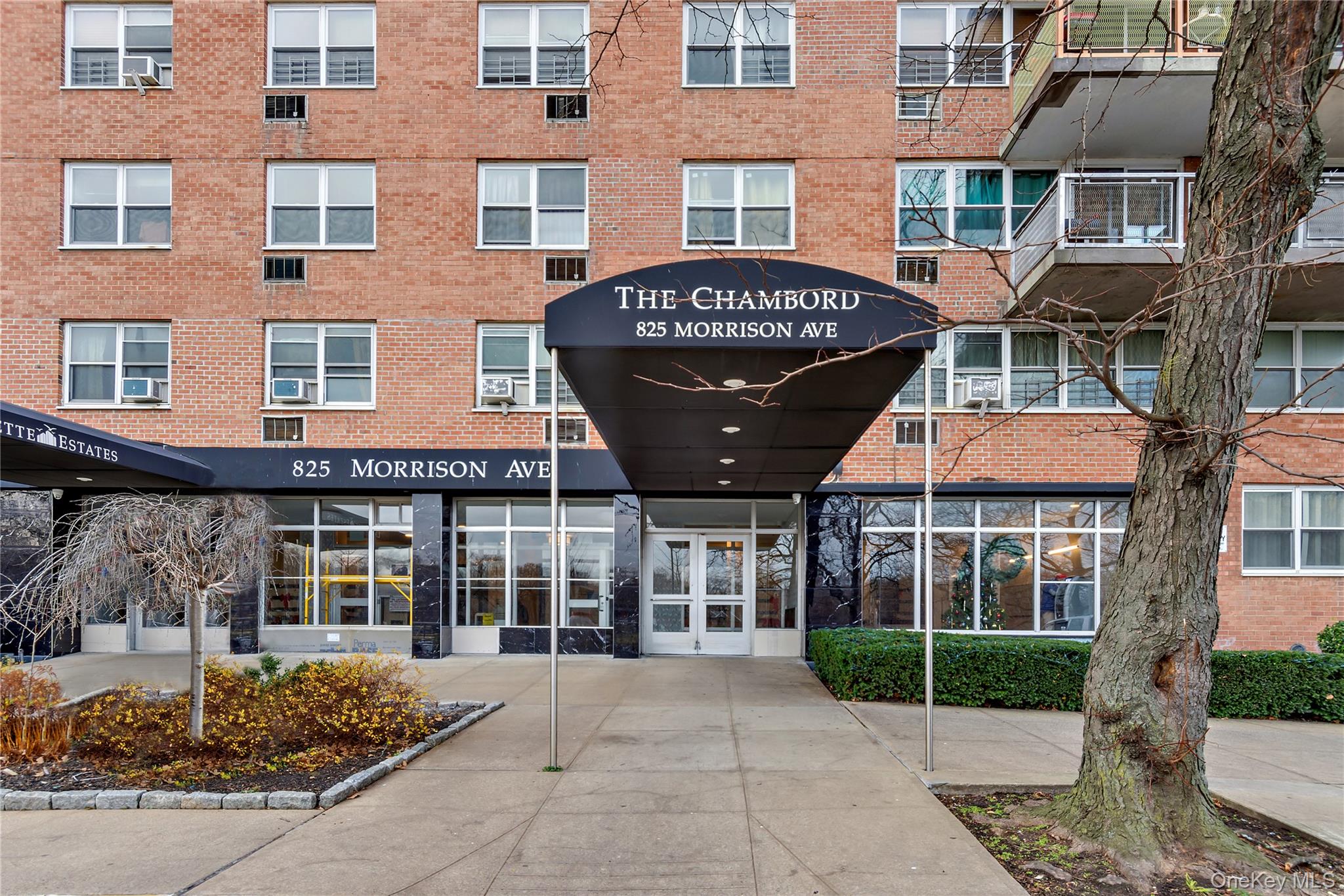 825 Morrison Avenue 5a Property Photo 21
