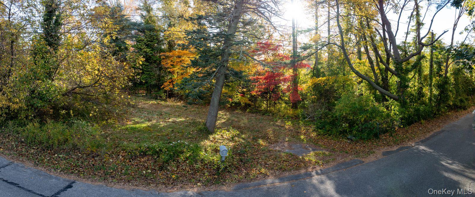 81 Old Broadway Avenue Property Photo 16