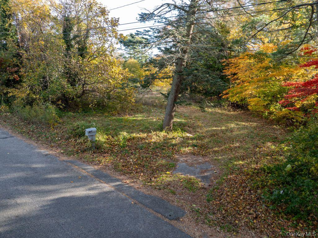 81 Old Broadway Avenue Property Photo 17