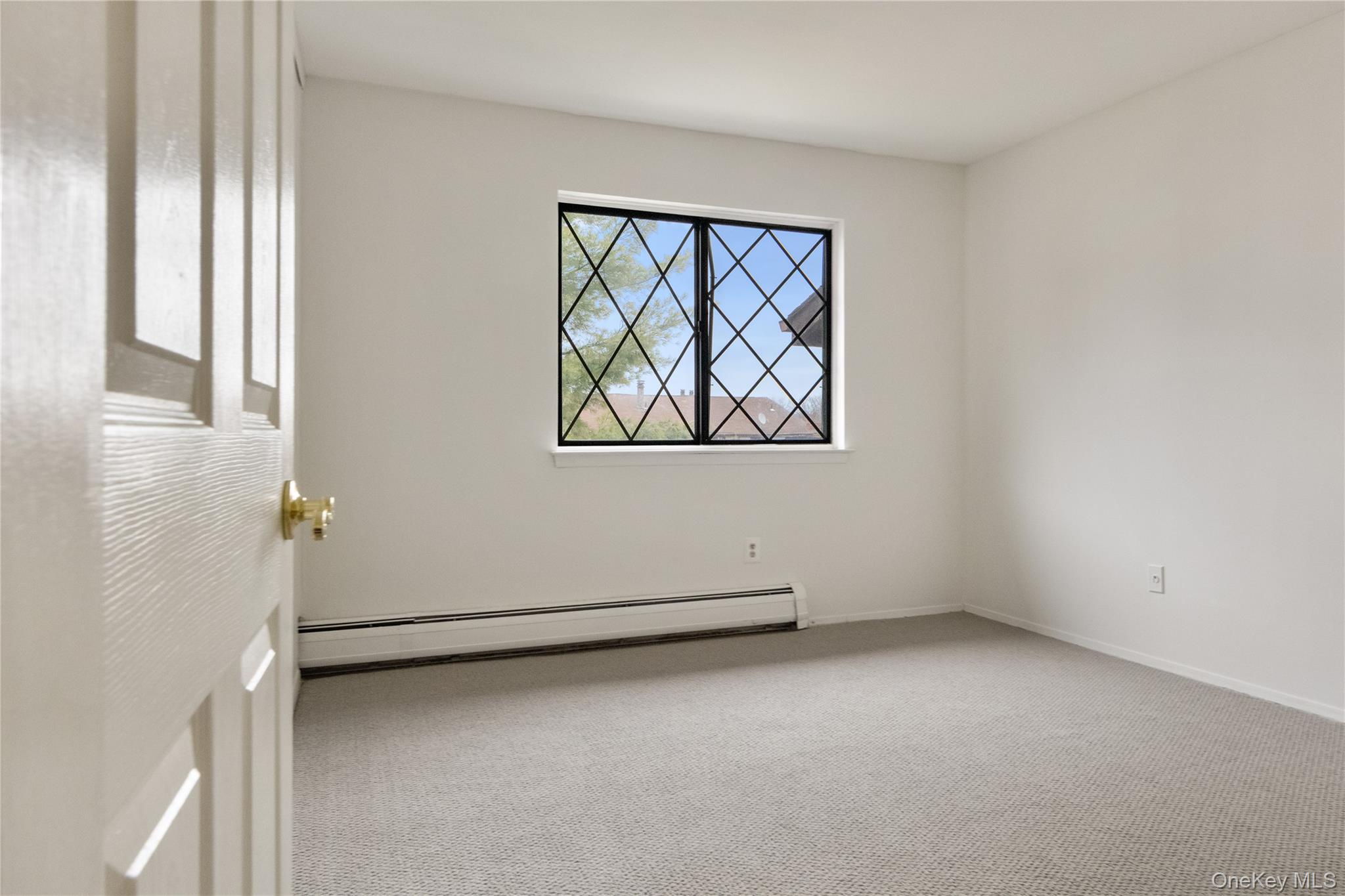 117 Buckingham Court Property Photo 17