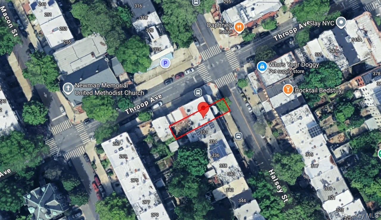 330 Halsey Street Property Photo 18