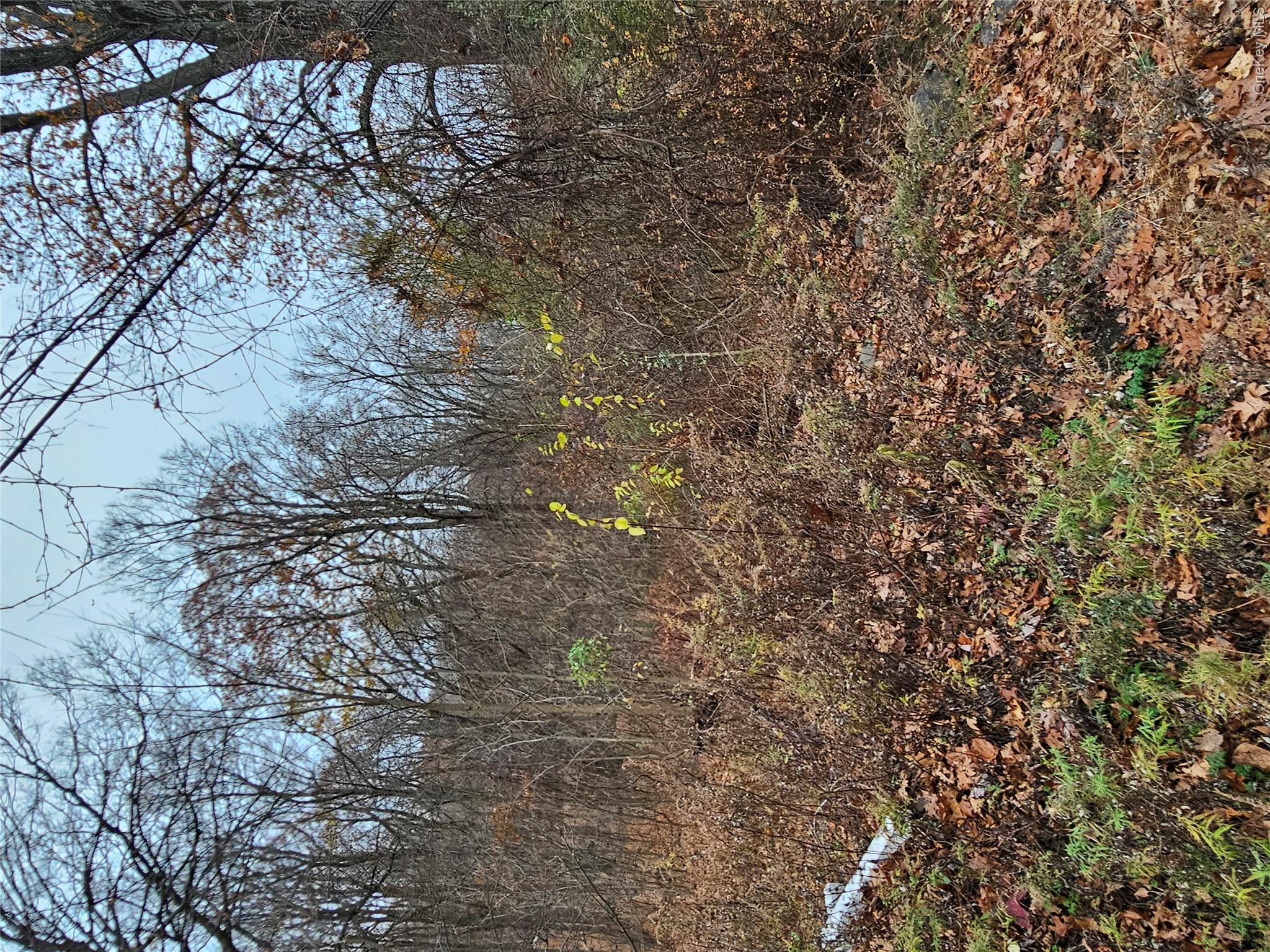 73 Sylvan Trail Property Photo 1