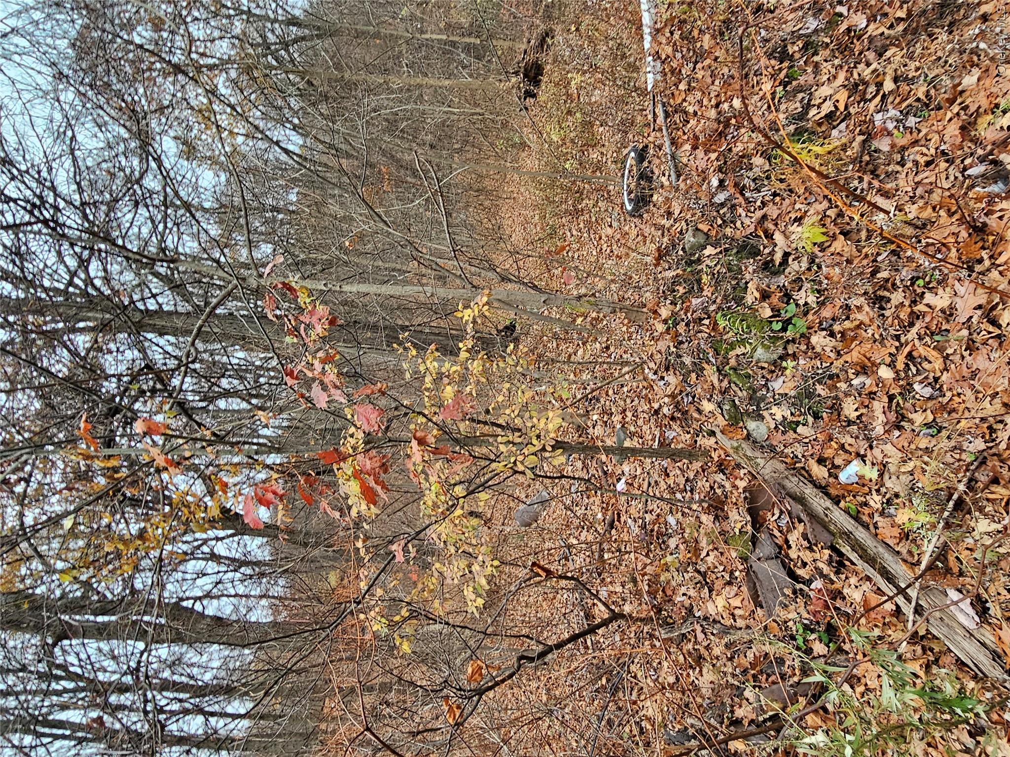 73 Sylvan Trail Property Photo 2