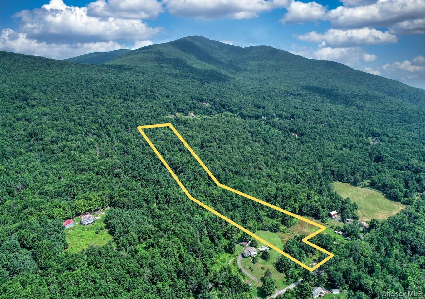 252 Upper Samsonville Road Property Photo 1