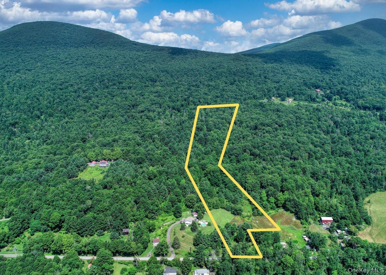 252 Upper Samsonville Road Property Photo 2