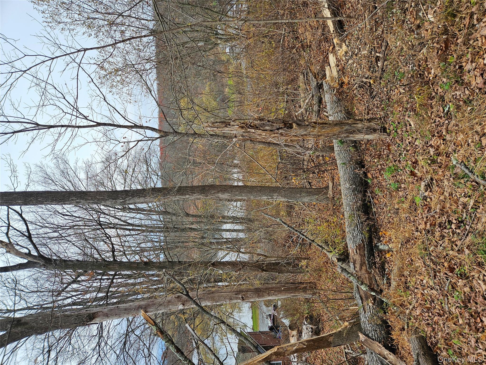 23 Gardner Drive Property Photo 2