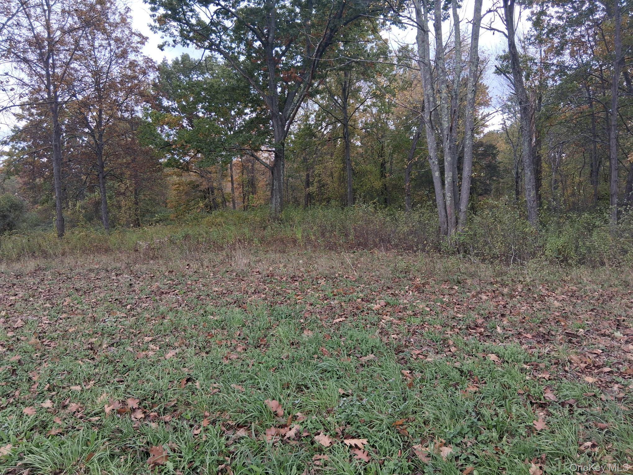 South Road Property Photo 5