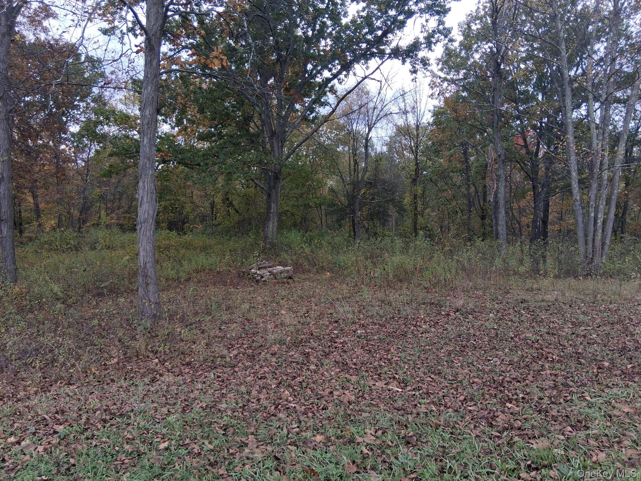 South Road Property Photo 7