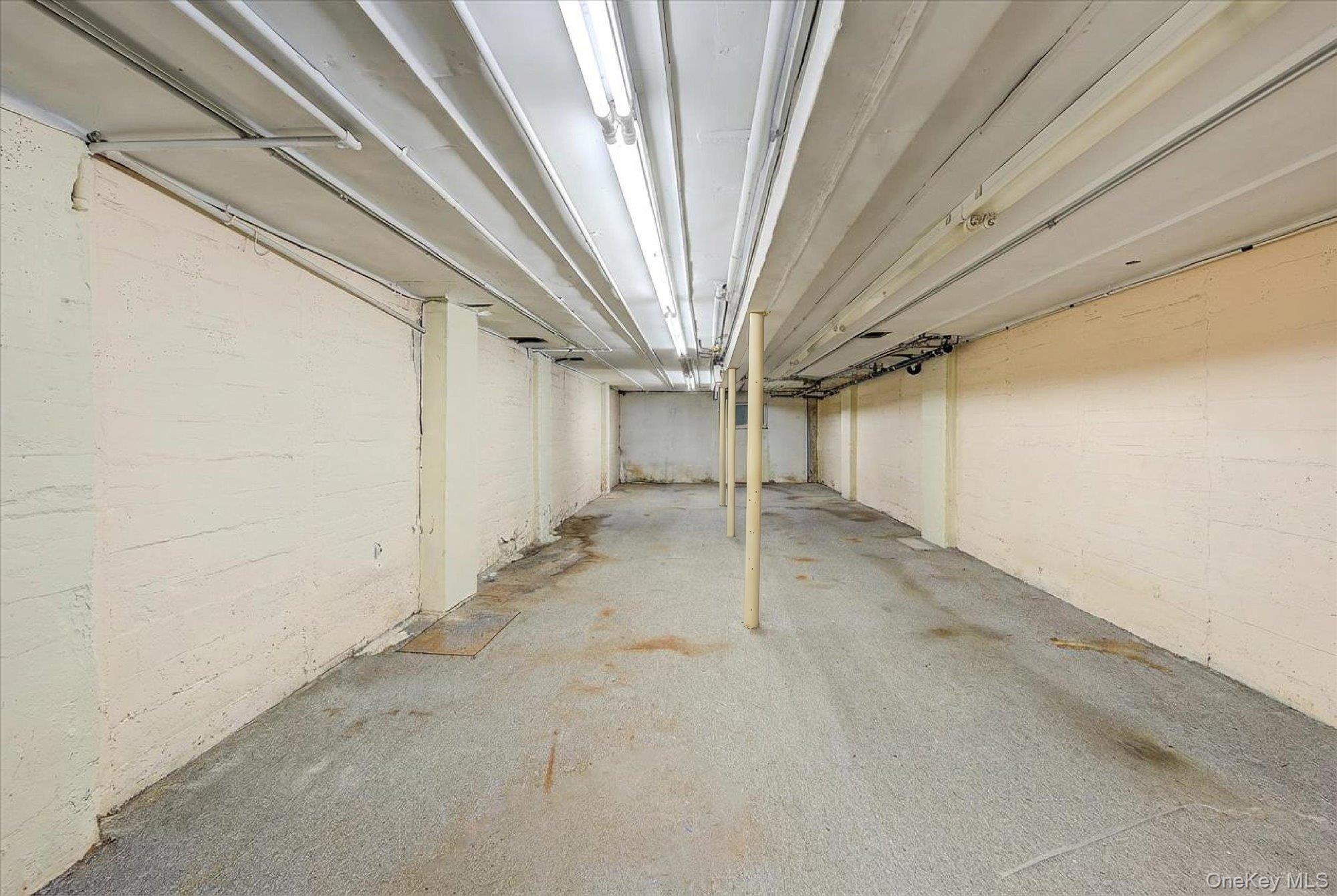 32-33/35/37/39 Steinway Street Property Photo 5