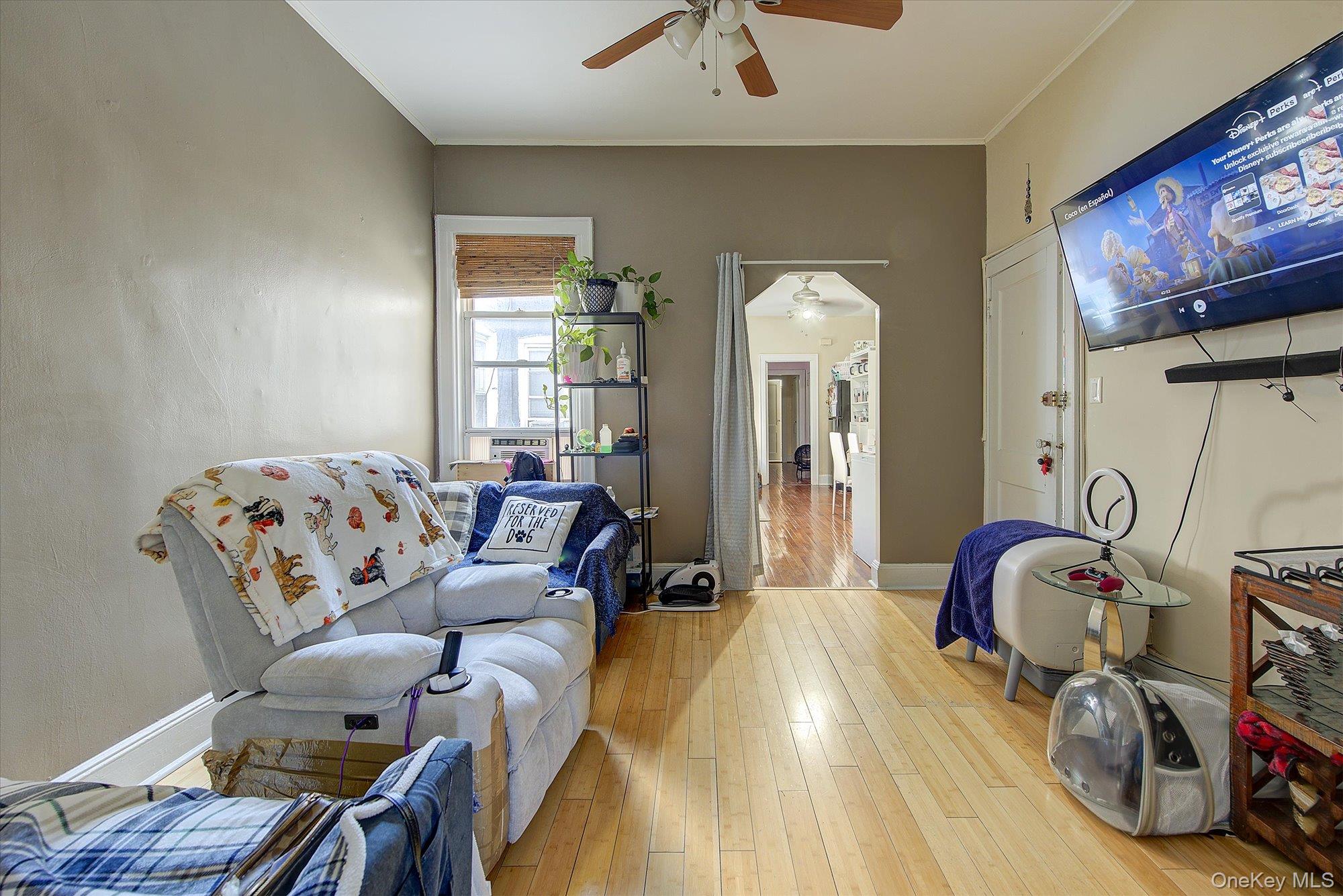 32-33/35/37/39 Steinway Street Property Photo 29