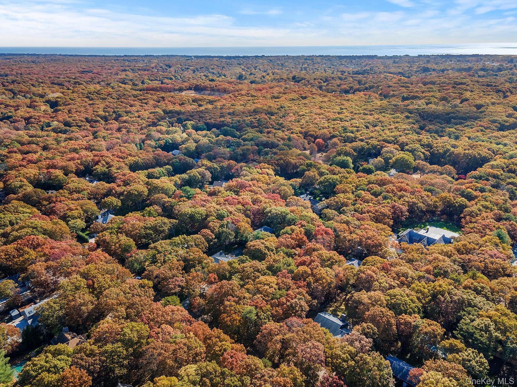 38 Wooded Oak Lane Property Photo 4
