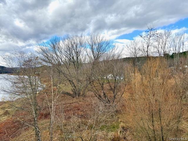 12 River Road Property Photo 9