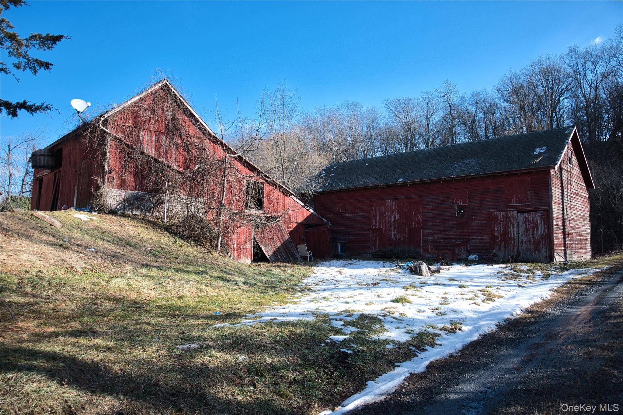 256 Round Hill Road Property Photo 3