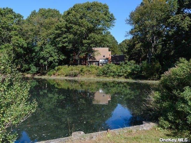 1 Pine Point Property Photo 21