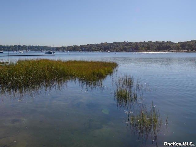 1 Pine Point Property Photo 23