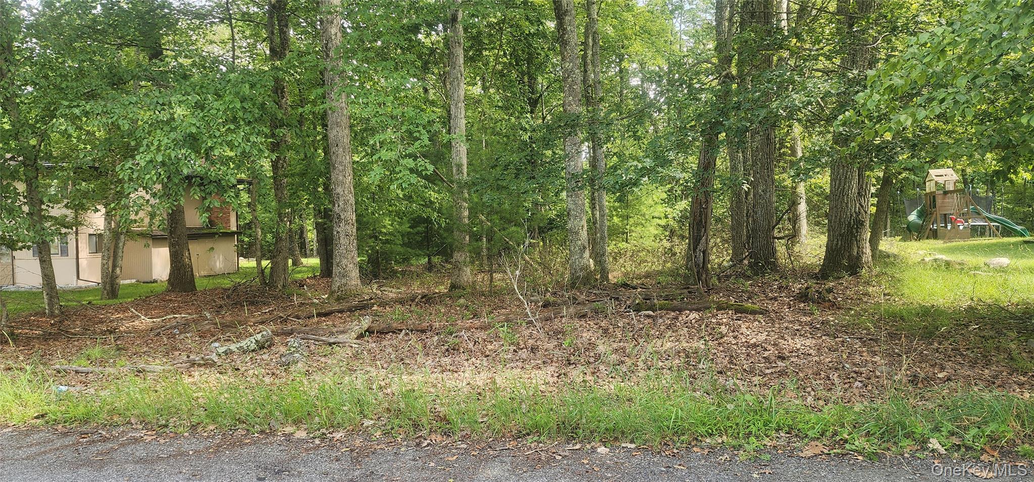 Chelsea Lane