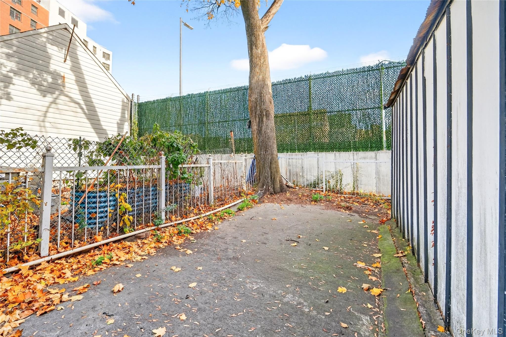 372 Bronx Park Avenue Property Photo 36