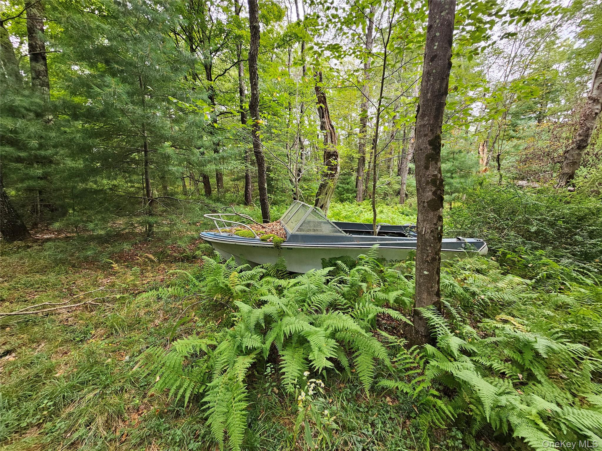 3624 State Route 55 Property Photo 29
