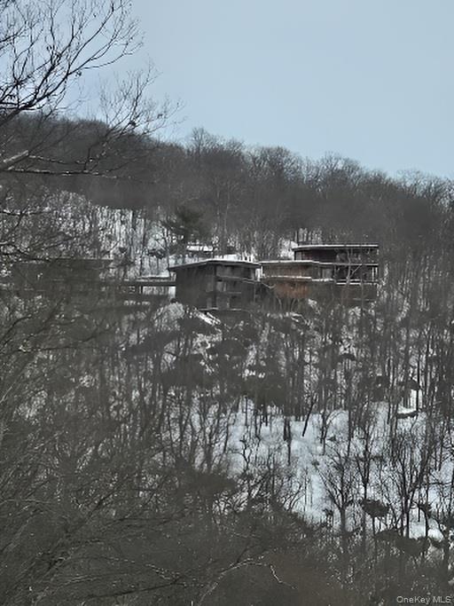 60 Woods Road Property Photo 4