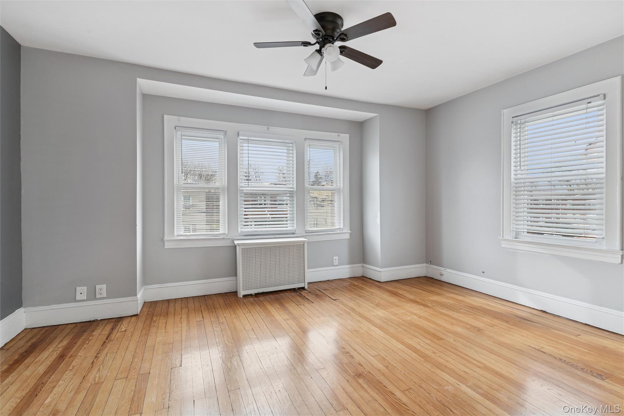 14 Tilrose Avenue Property Photo 15