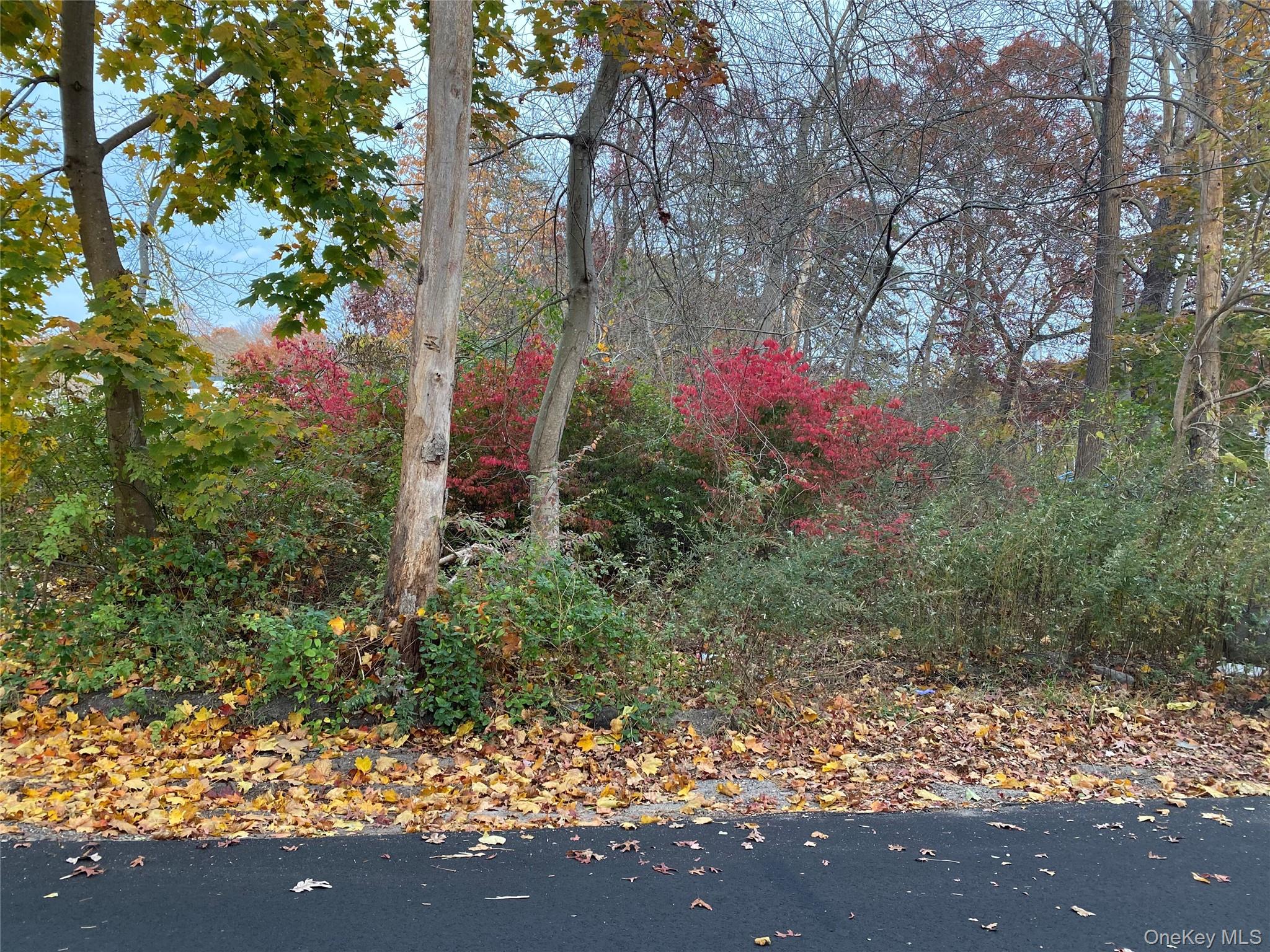 74 Palmetto Drive Property Photo 1