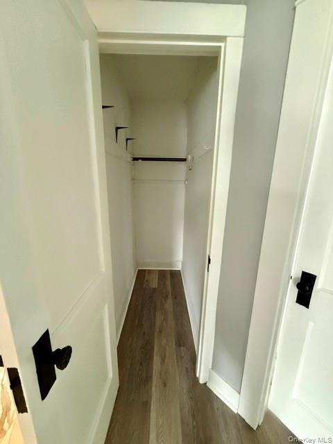 13 Forest Avenue Property Photo 15