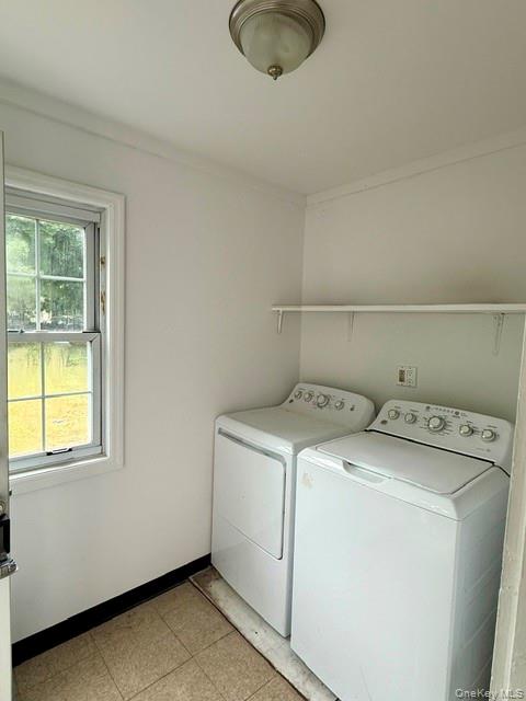 13 Forest Avenue Property Photo 22