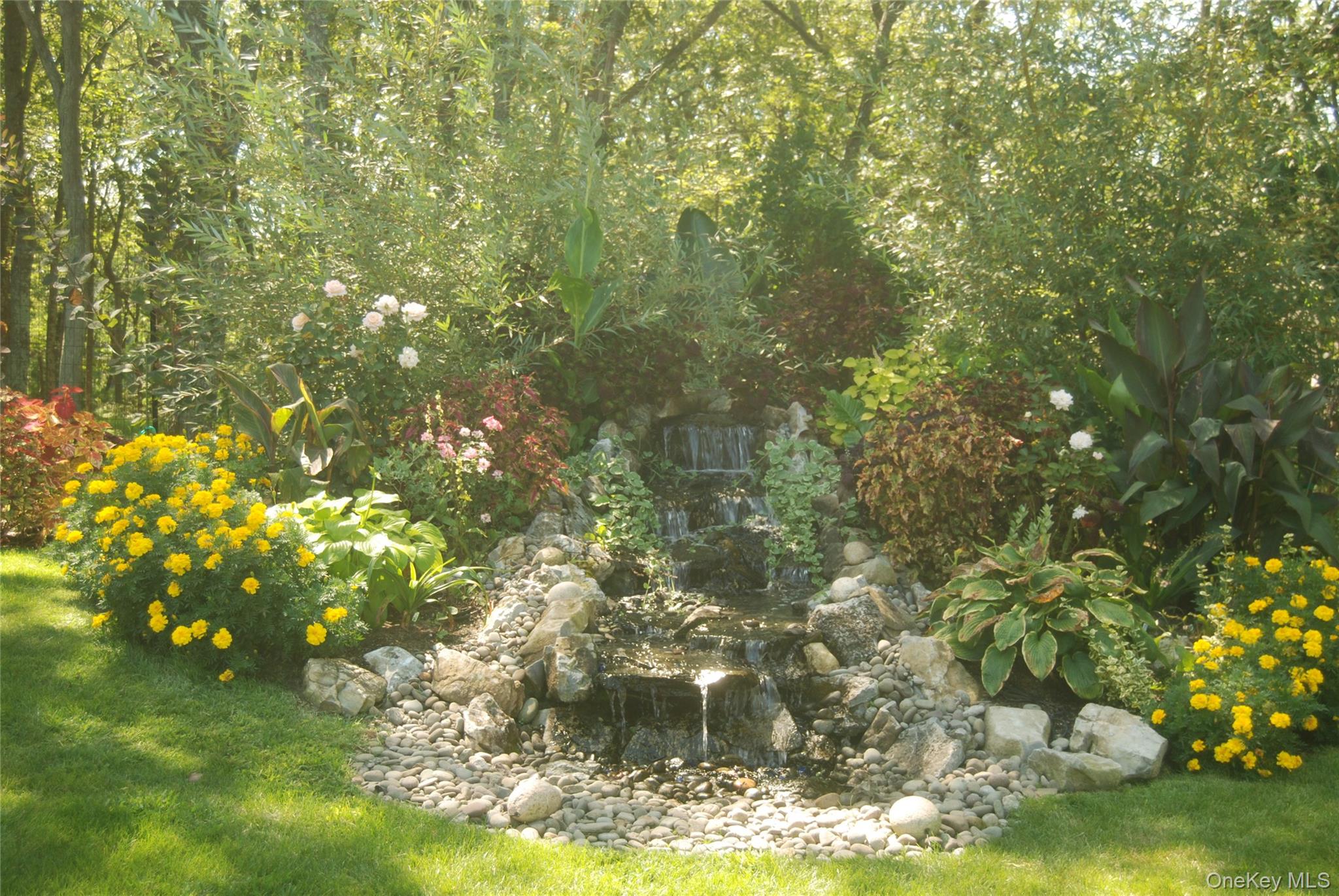 17 Downer Place Property Photo 1