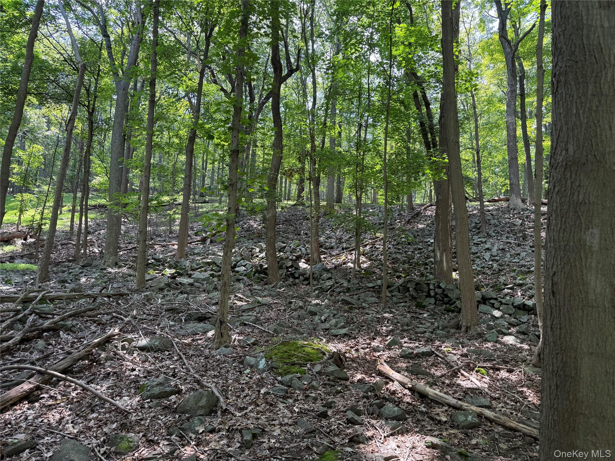 660 Route 9w Property Photo 5