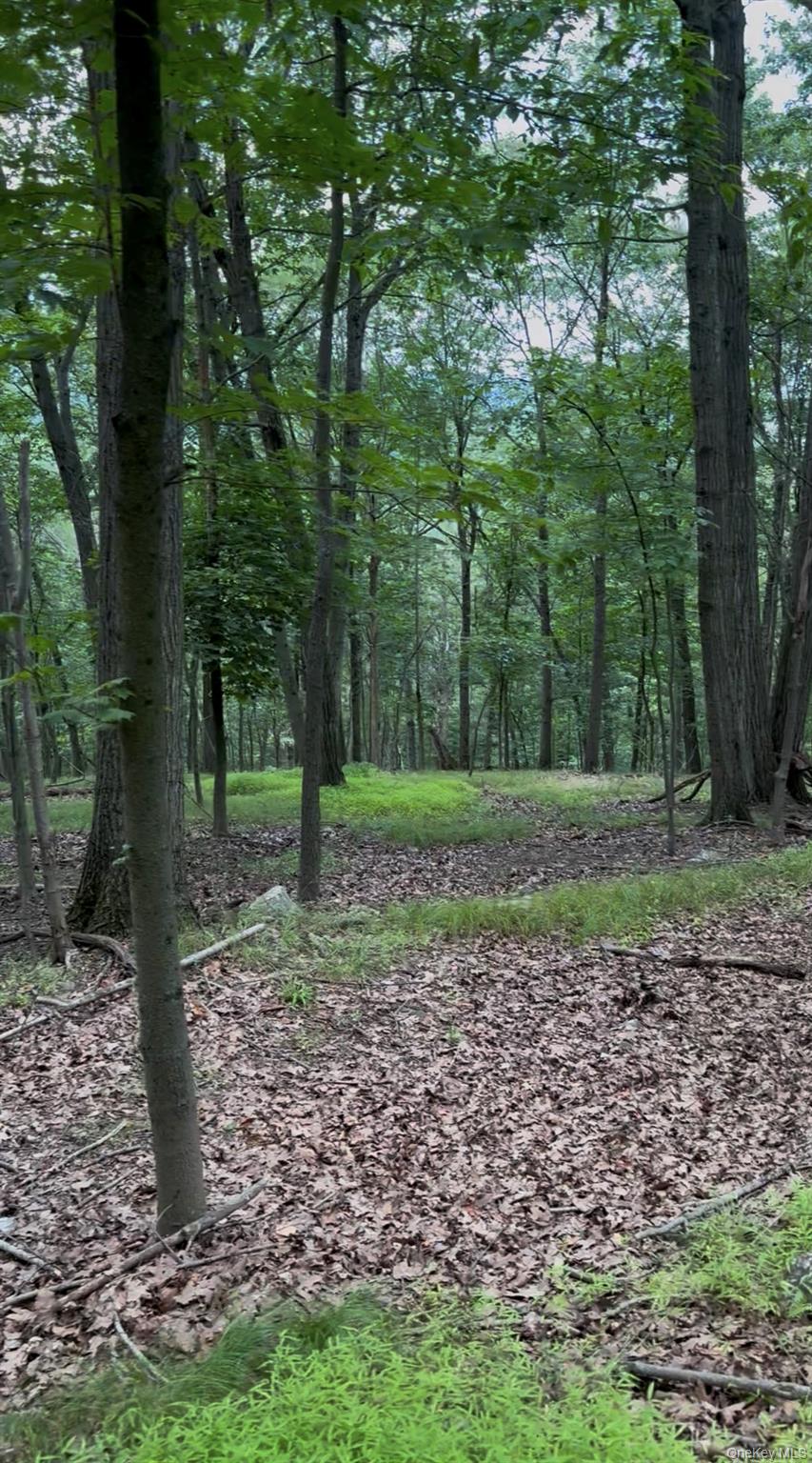 660 Route 9w Property Photo 8