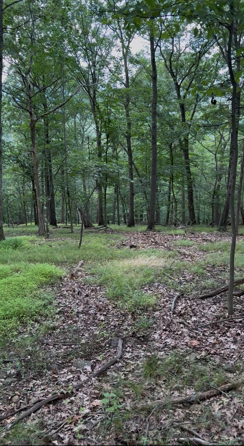 660 Route 9w Property Photo 10