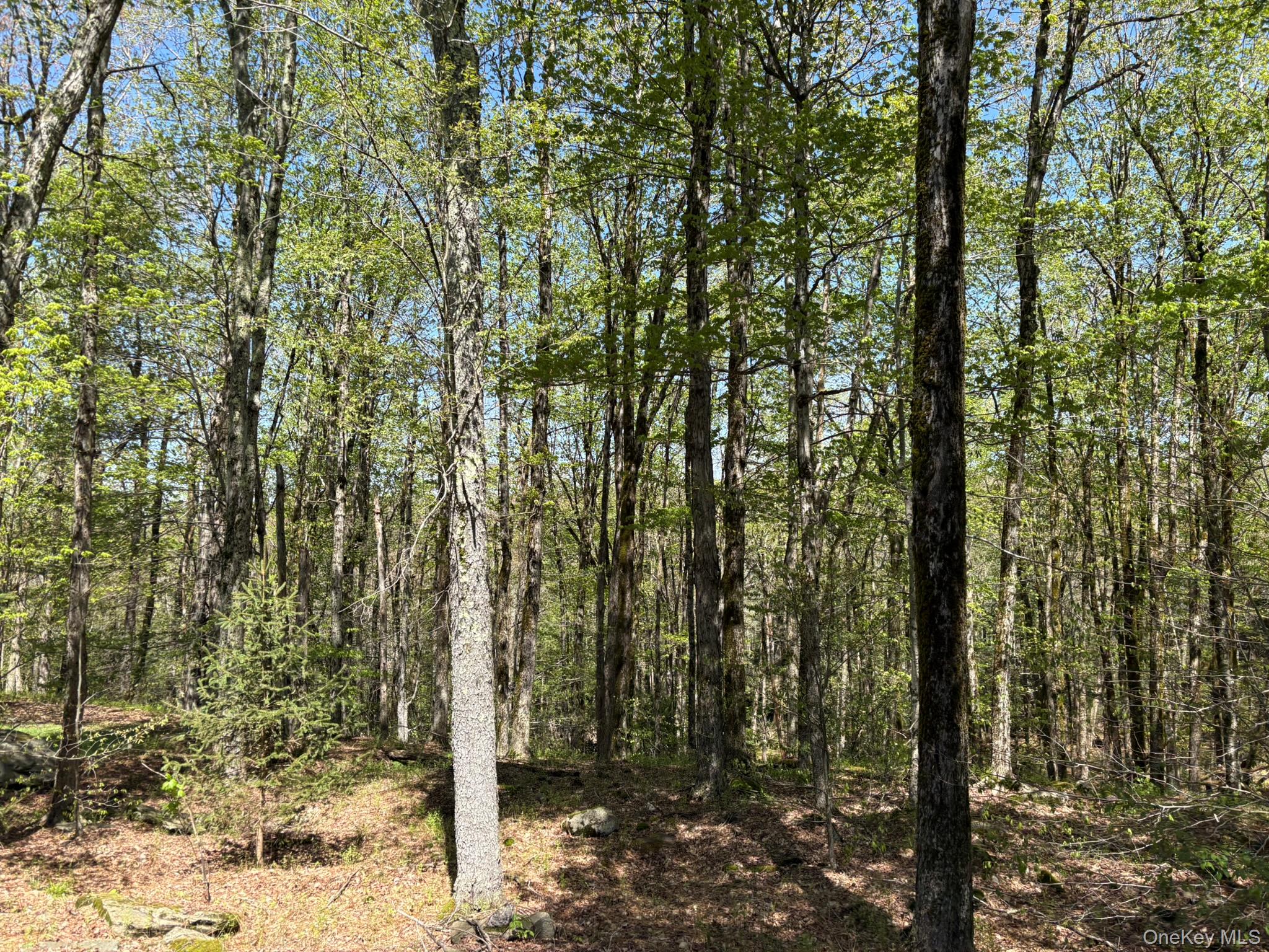 County Hwy 7 Property Photo 2