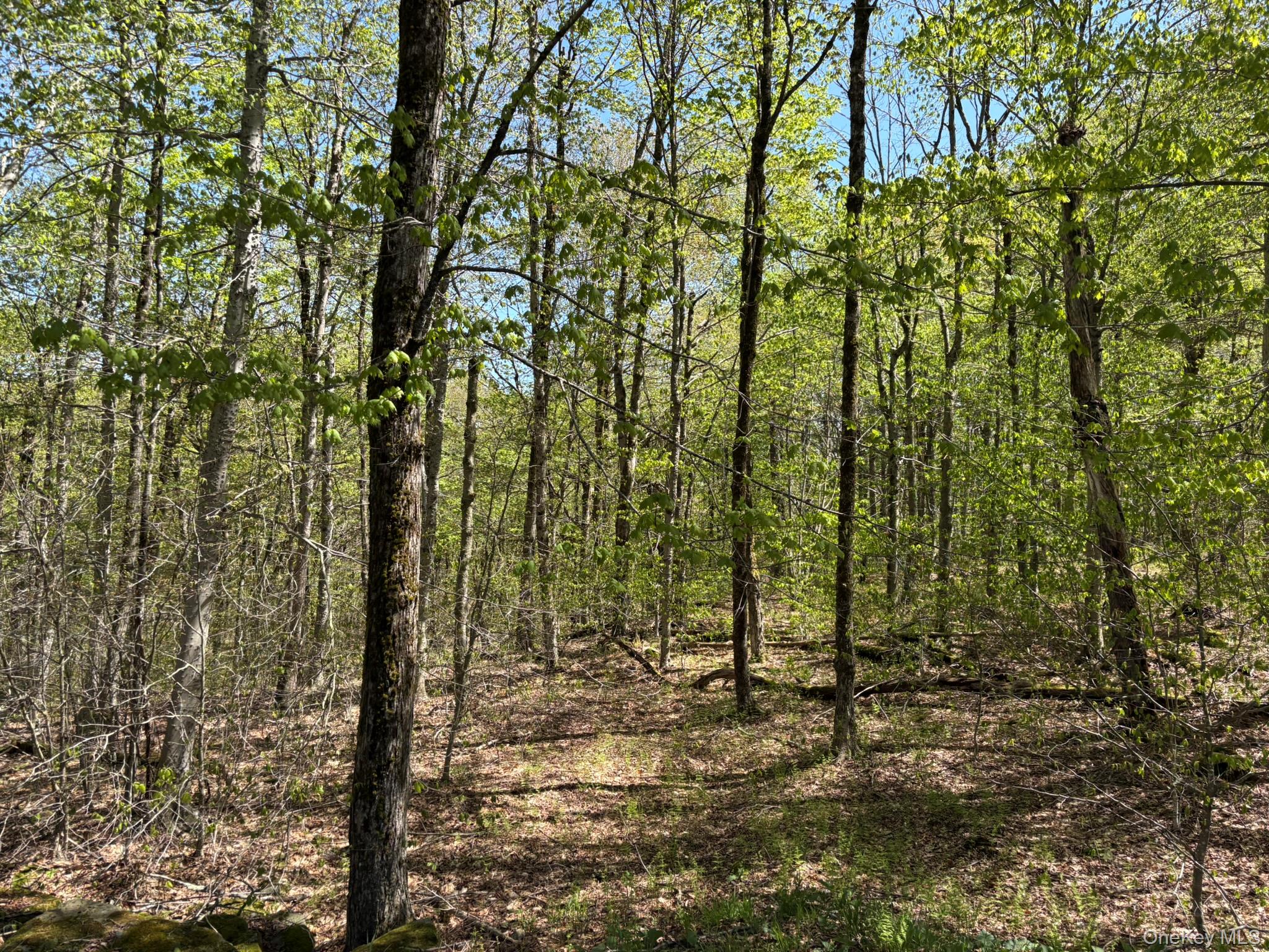 County Hwy 7 Property Photo 3