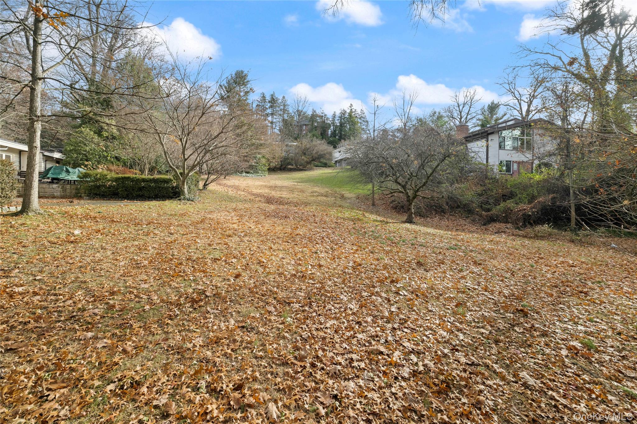 Palisade Avenue Property Photo 2